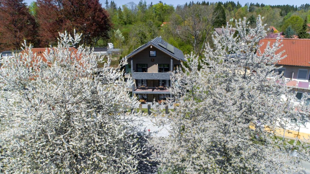 Invita Natur-Chalets Penthouse - Familienurlaub Im Schwarzwald - 240Qm Bad Dürrheim Exteriör bild